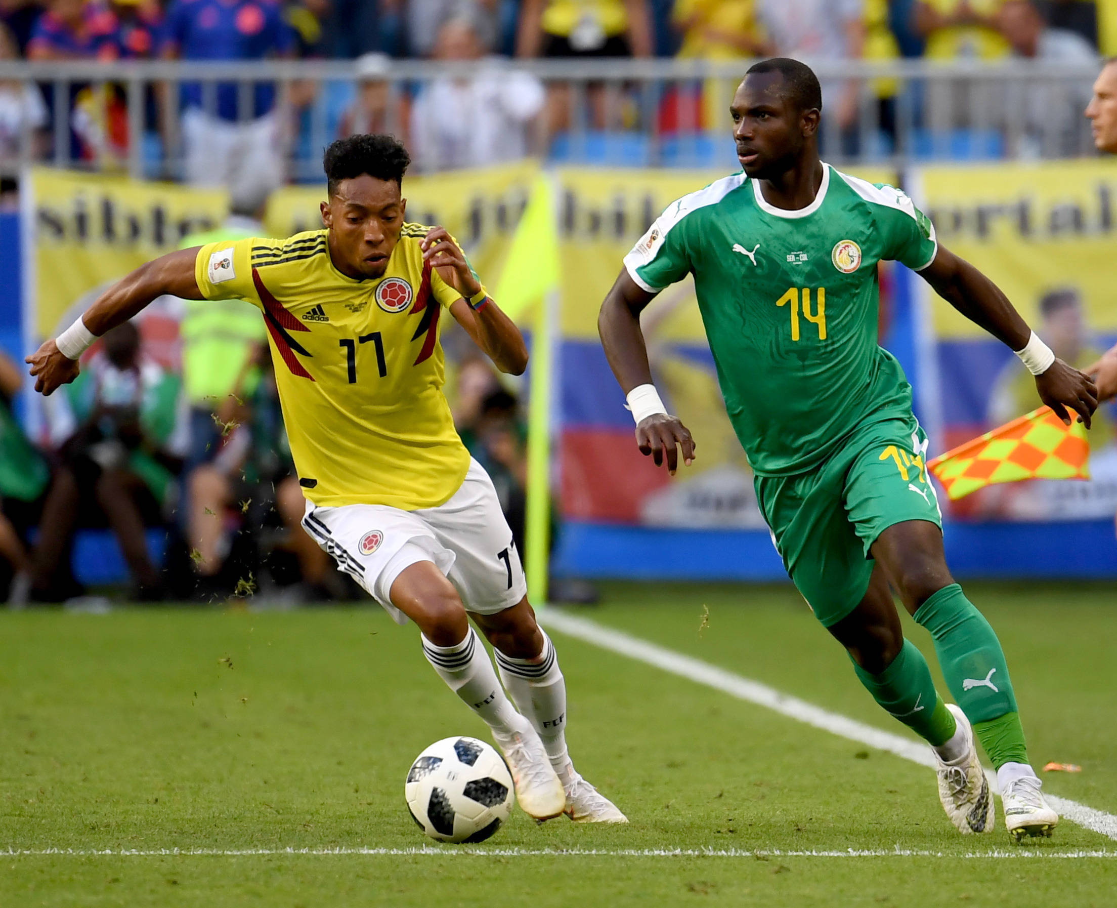 可能只是冠 可能只是冠