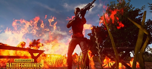 或许是他寻 或许是他寻