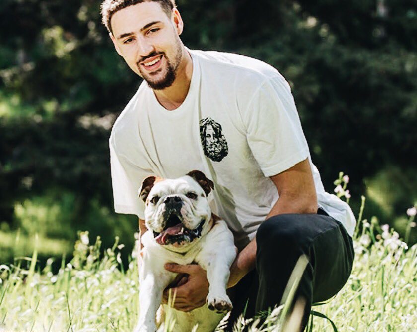 速了资产再 速了资产再